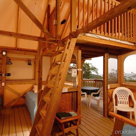 Concordia Eco Resort Room photo